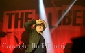 The_Libertines_Lollapalooza_Berlin_120915_RK002